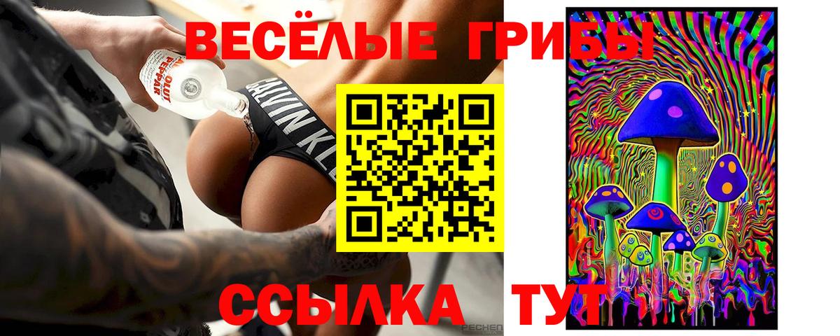 Ижевск  Галлюциногенные грибы Cubensis  Вход с VPN 