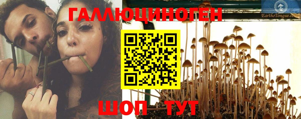 Галлюциногенные грибы Magic Shrooms  Ижевск  Псилоцибиновые грибы Magic Shrooms 