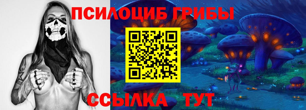 Галлюциногенные грибы мицелий Ижевск